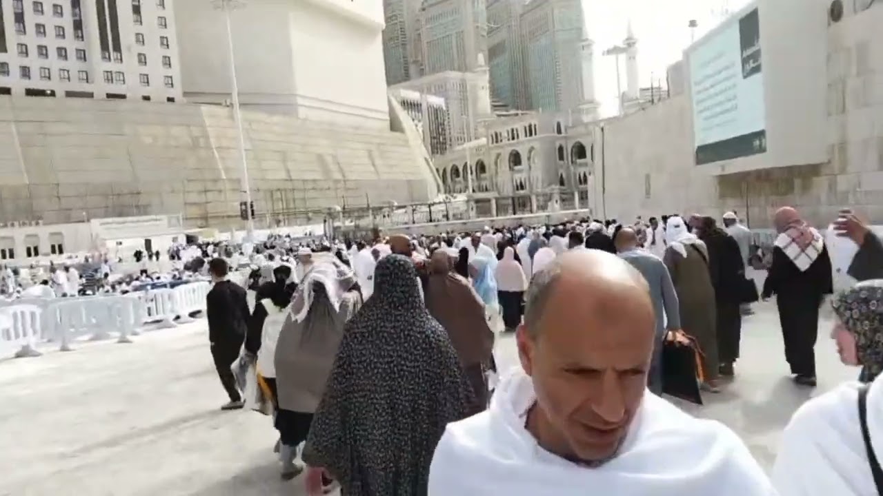  ماذا يحدث فى مكه !!حمام المدينة يحلّق بساحة الحرم 🕊️ مشاهد روحانية مؤثرة