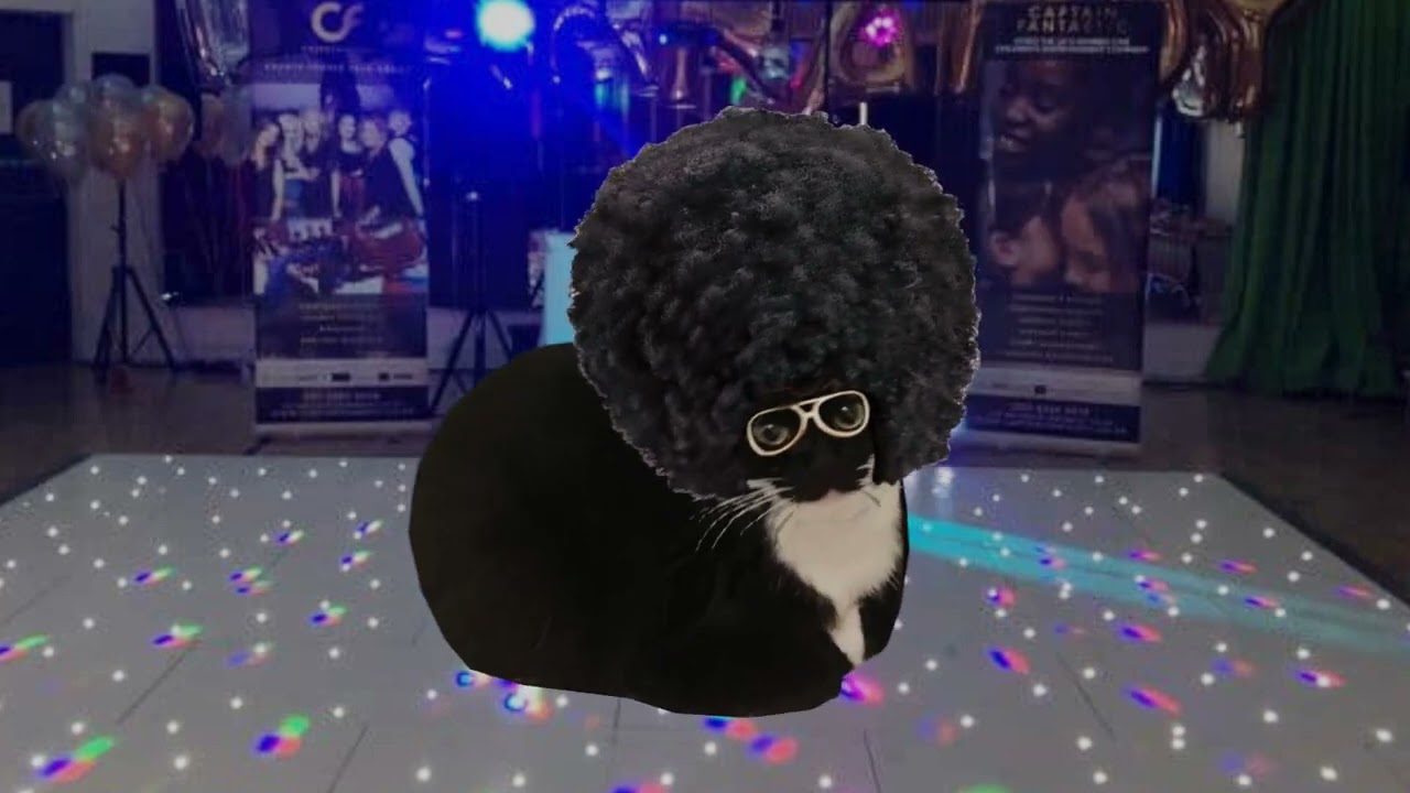 Maxwell the cat meme but it's disco