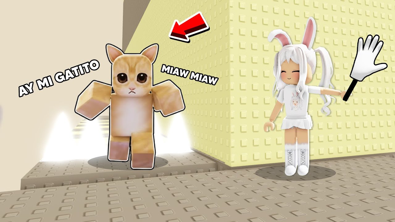 AKU DI TROLLING KUCING LUCU DI GATITO TOWER! AY MI GATITO MIAU MIAU!
