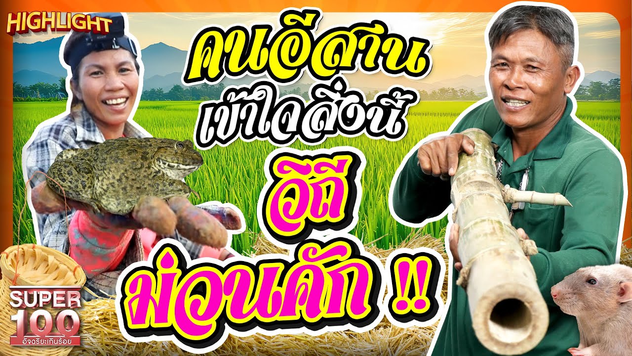 คนอีสานดูแล้วจะคิดฮอดสิ่งนี้!! วิถีอีสานม่วนคัก หาวัตุดิบลับสุดแซ่บ  HIGHLIGHT | SUPER100