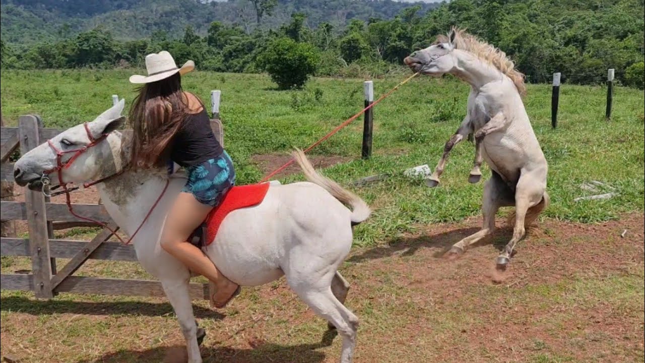 MINHA ÉGUA ESPECOU FEIO! Indo banhar na represa.
