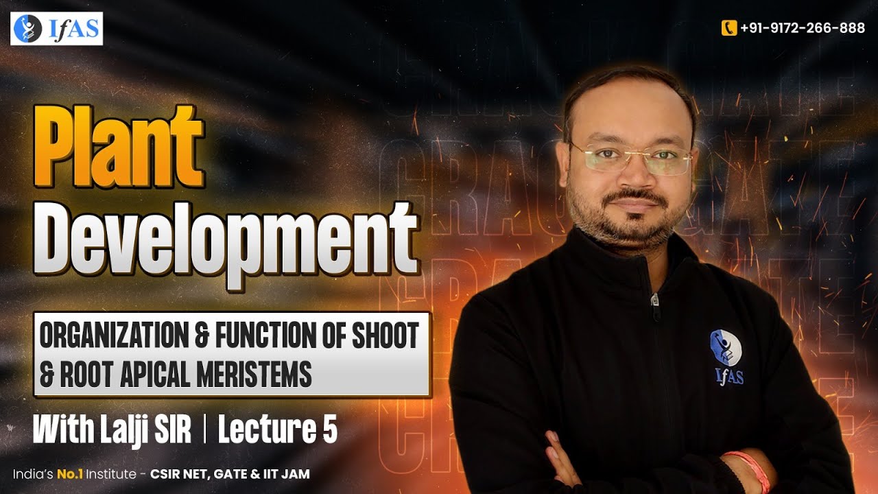 Shoot & Root Apical Meristem Structure | Plant Development | GATE Exam 2024
