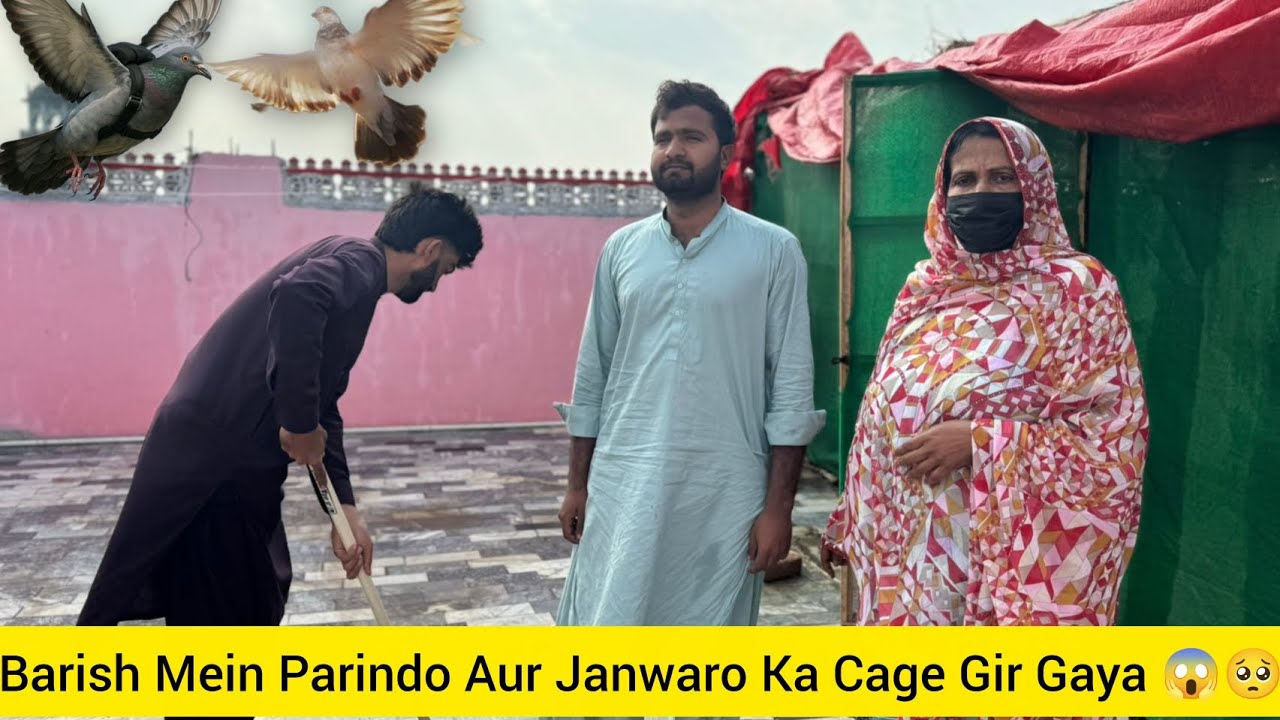 Barish Mein Parindo Aur Janwaro Ka Cage Gir Gaya 😱🥺