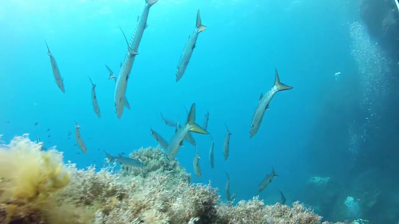 Menorca - Parco Marino
