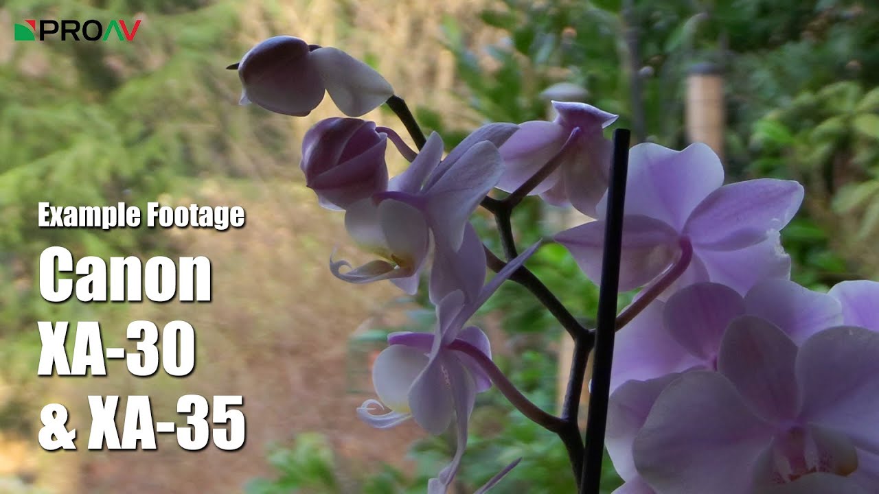 Canon XA30 & XA35 - Example Footage & High ISO Test