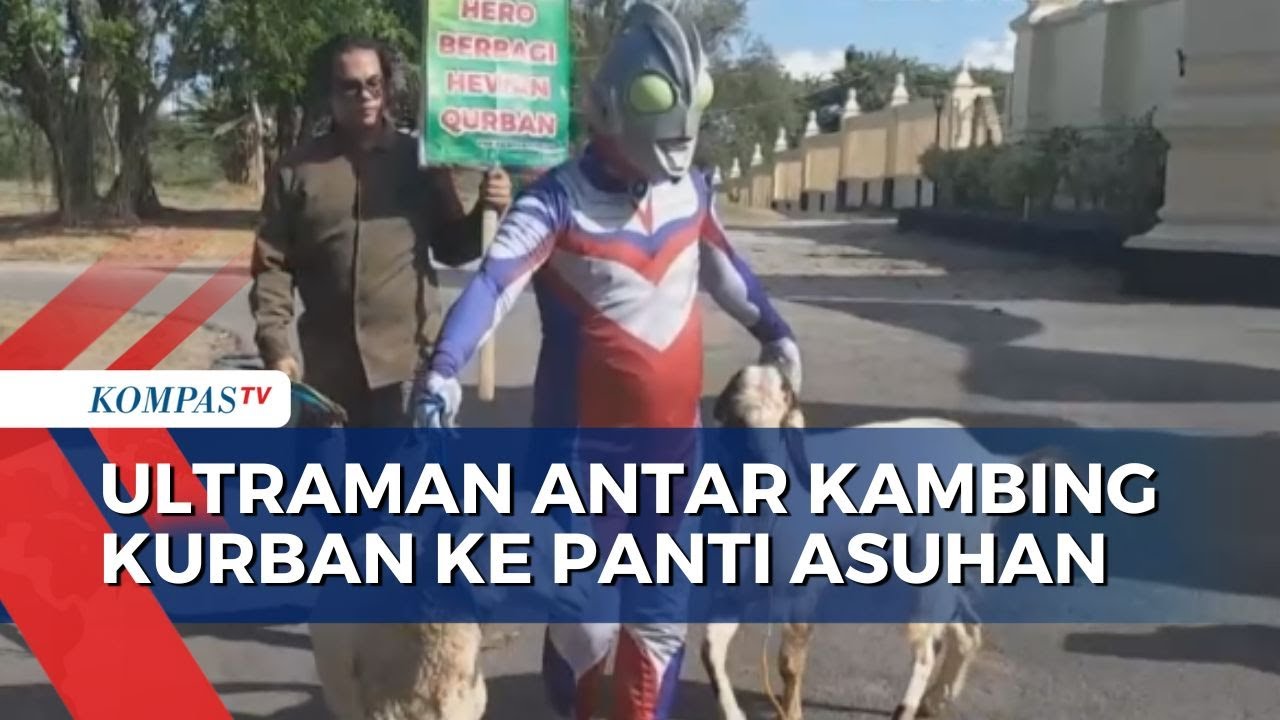 Idul Adha, Sosok Ultraman Berbagi Hewan Kurban ke Panti Asuhan
