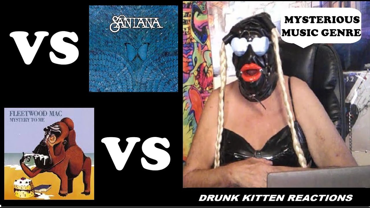 SANTANA VS FLEETWOOD MAC - DRUNK KITTEN REACTIONS