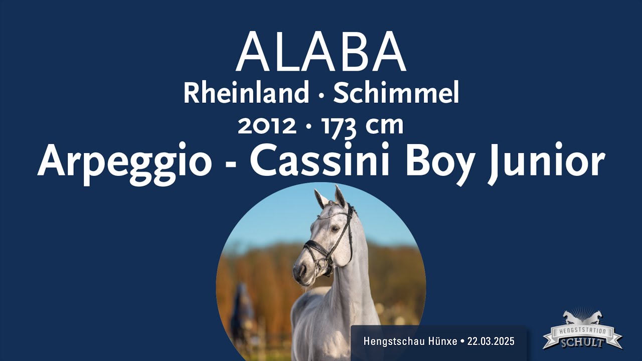 Alaba Hengstschau Schult 2025