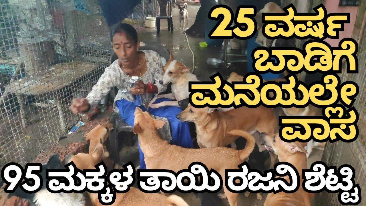 ರಜನಿ ಶೆಟ್ಟಿ - 95 ನಾಯಿಗಳ ಜೊತೆ ಬಾಡಿಗೆ ಮನೆಯಲ್ಲಿ ವಾಸ |feeds daily 800 stray dog's #dogrescue #streetdog 