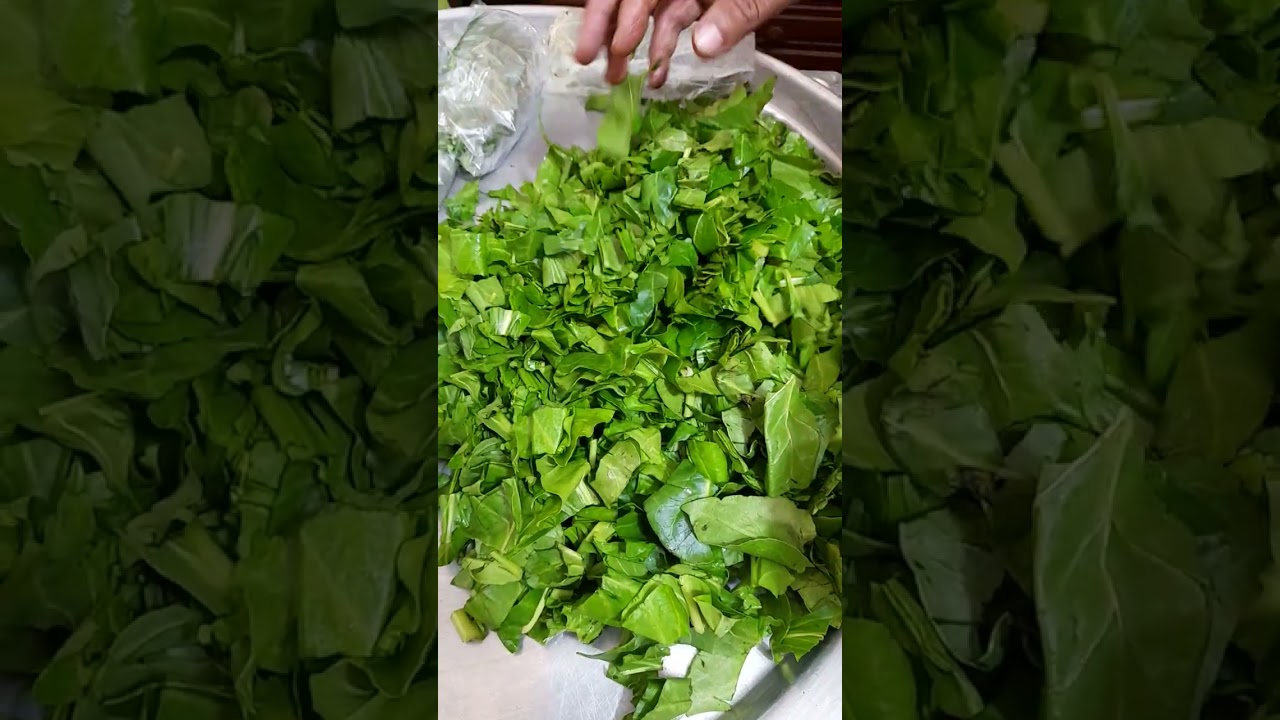 تفريز خضرة رمضان