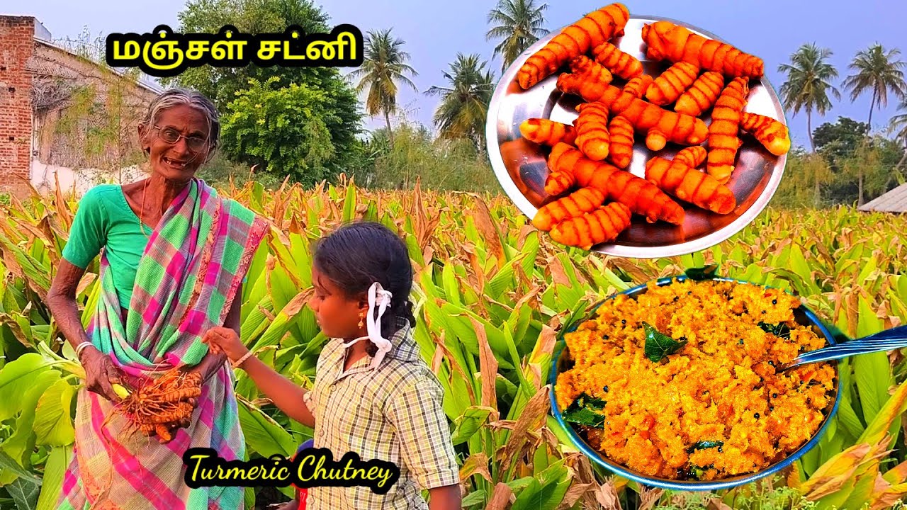 #நோய் எதிர்ப்பு சக்தியை அதிகரிக்கும் மஞ்சள் சட்னி l #மஞ்சள் கிழங்கு சட்னி l Turmeric chutney