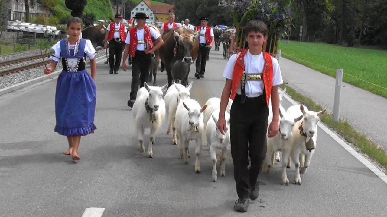 Alpabfahrt Appenzell 4.9.2015