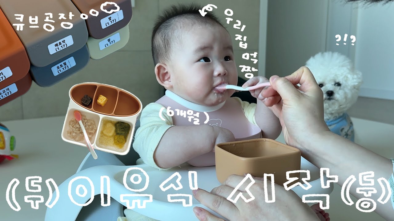 [육아 vlog] (두) 이유식 시작! (둥) / 초기이유식 /6개월 아기 / 토핑이유식 / 춘천여행 / 뒤로 배밀이와 되집기성공 🐣