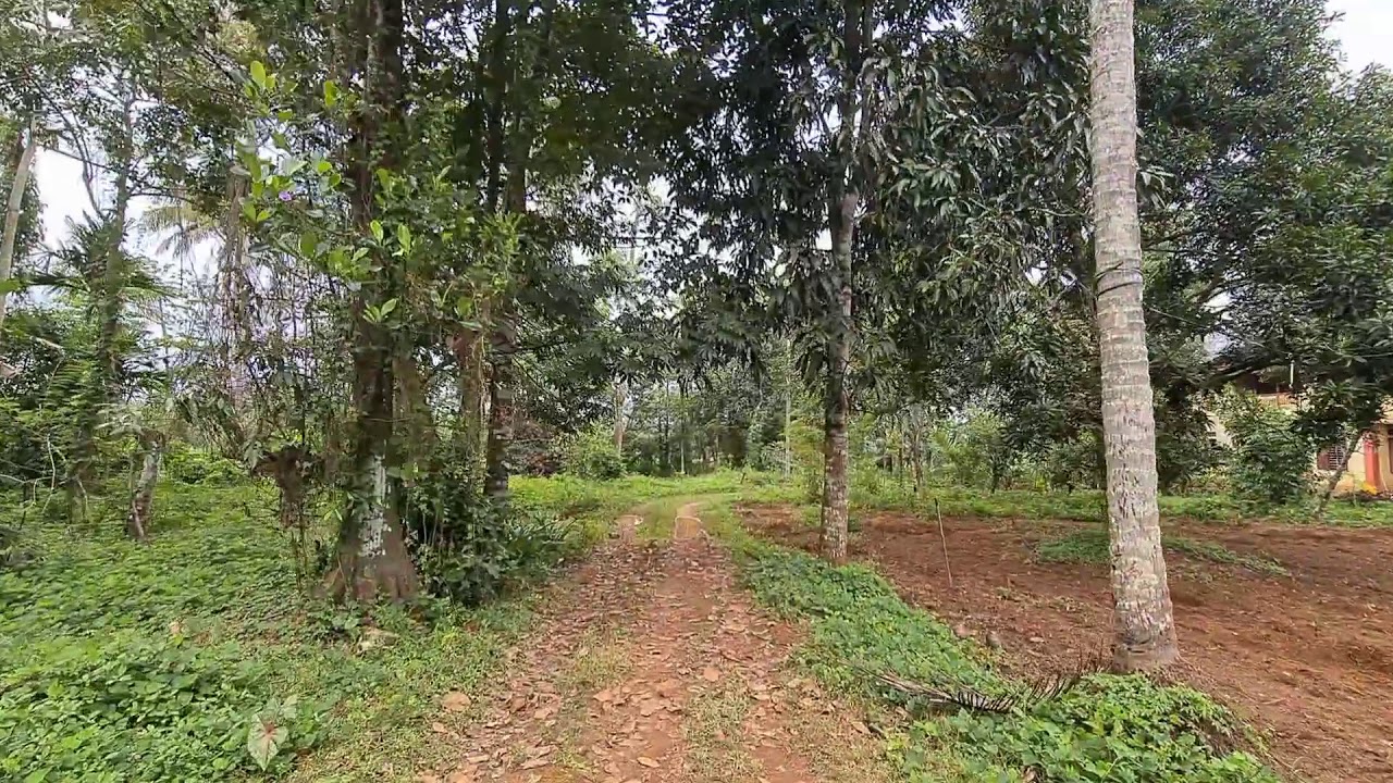 way to Home....... Chundekatt Illam Ashtamichira.