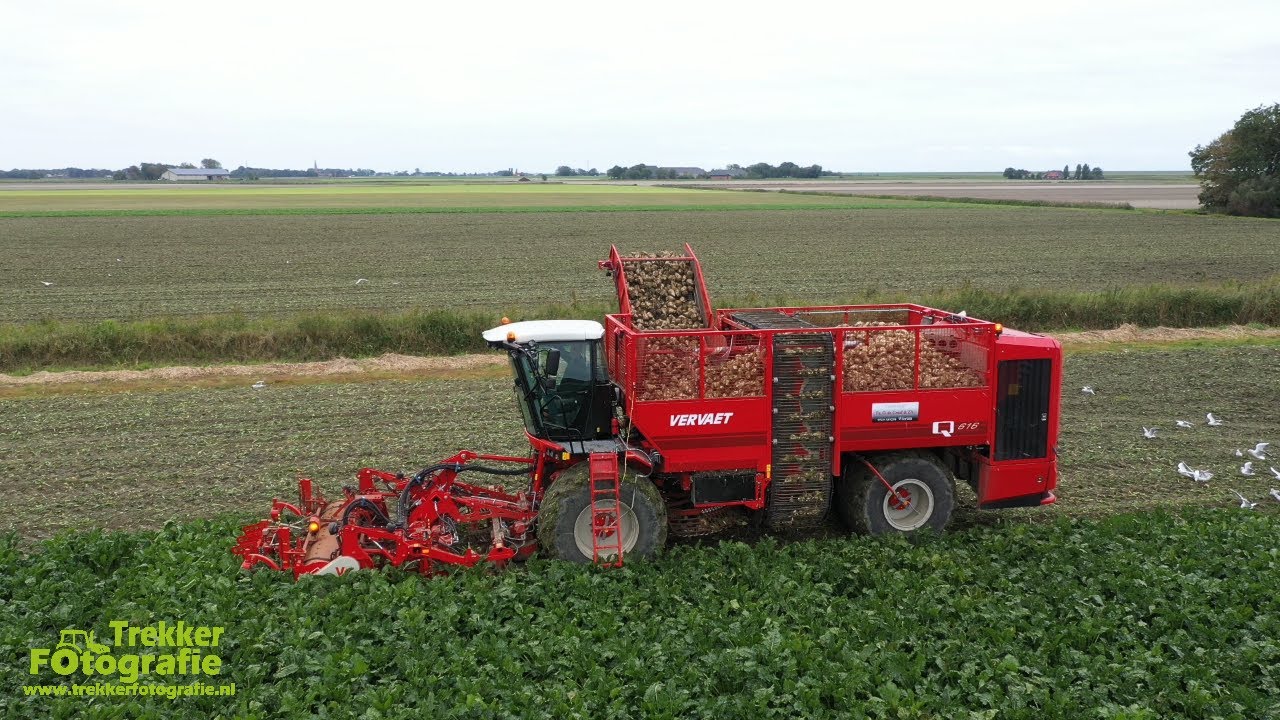 O de Graaf aan het bieten rooien met de nieuwe Vervaet Q616