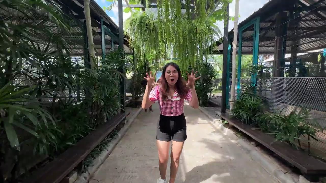 Tiger Park