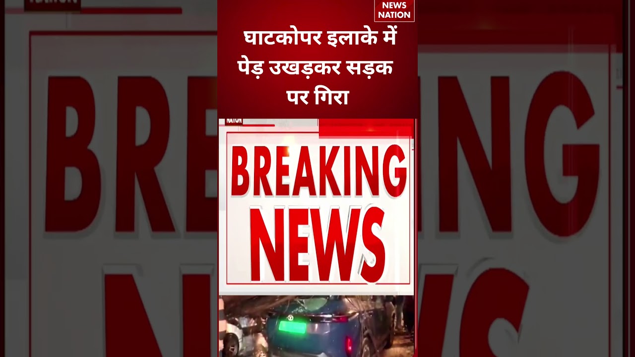 Mumbai Weather Update: घाटकोपर इलाके में पेड़ उखड़कर सड़क पर गिरा  | Red Alert |   #breakingnews