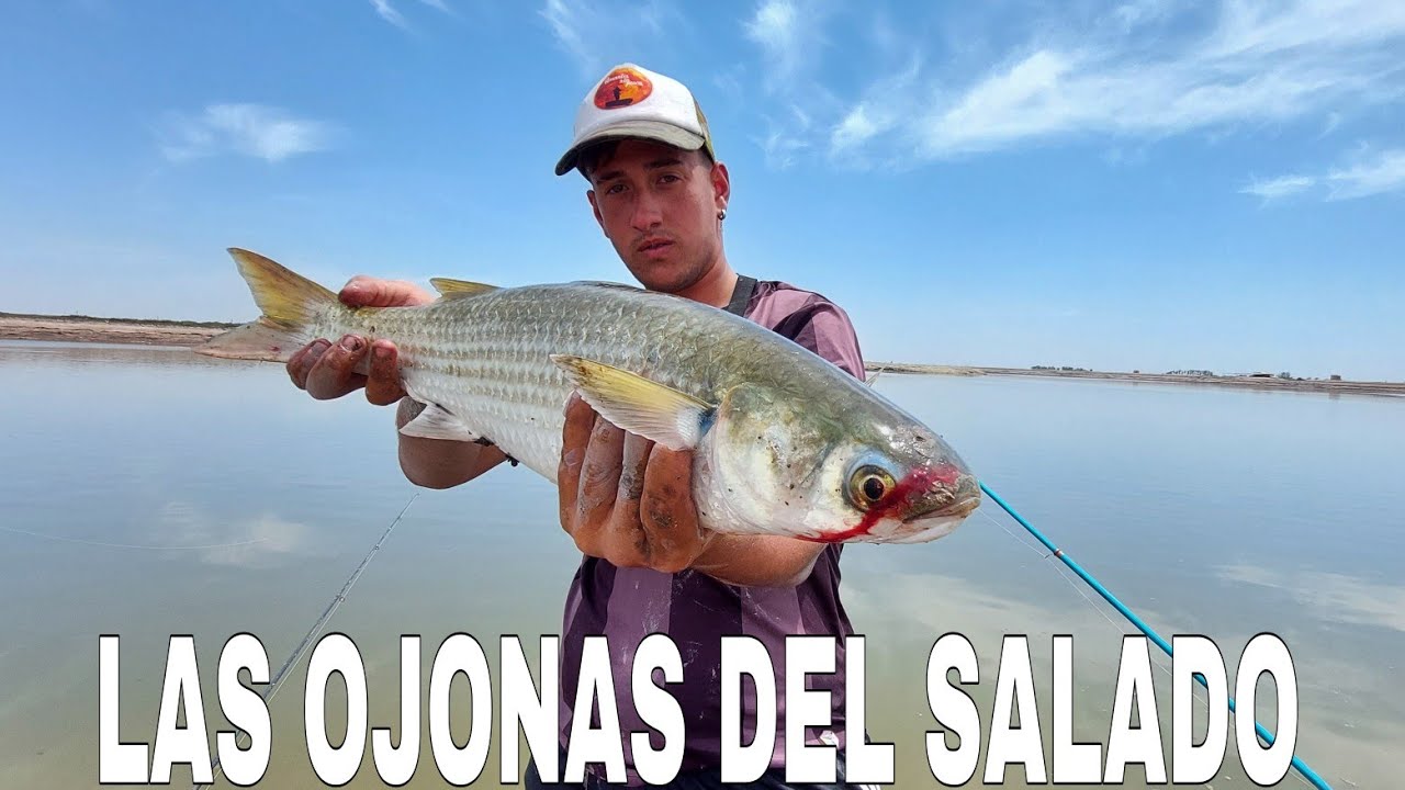 PESCA DE GRANDES LISAS EN EL RIO SALADO 🎣 pesca en Roque Perez