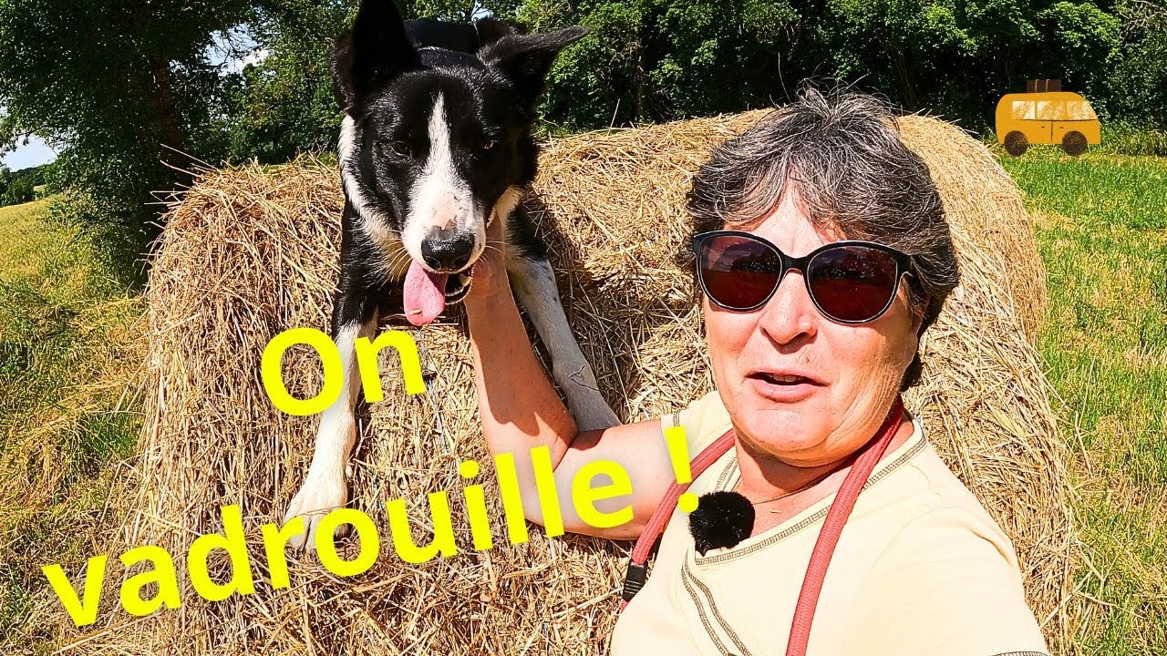 La vadrouille en fourgon aménagé