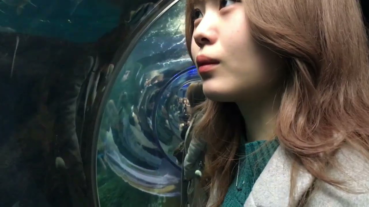 【Vlog】女子大生二人で鎌倉・江ノ島旅行【江ノ島水族館】#Day2