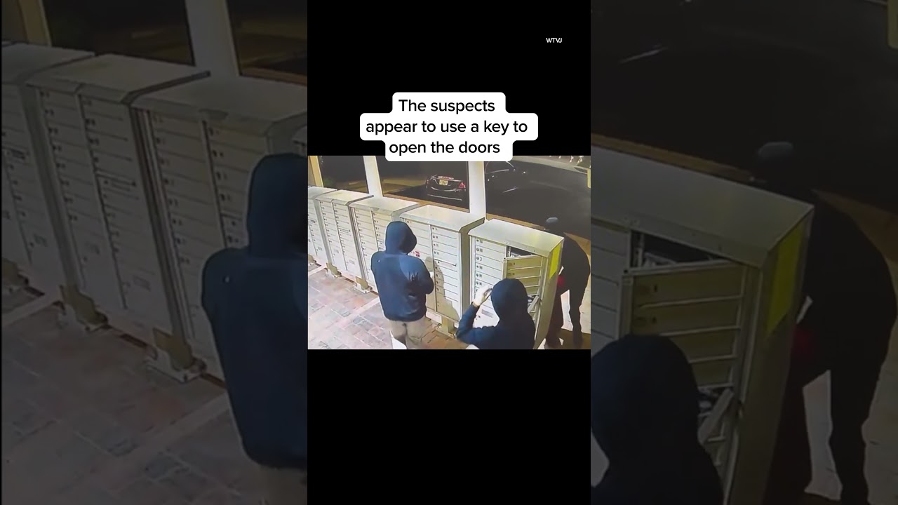 Watch as more than 100 thieves steal from mailboxes