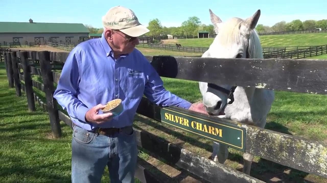 Oldest living Kentucky Derby winner Silver Charm still shines at 30