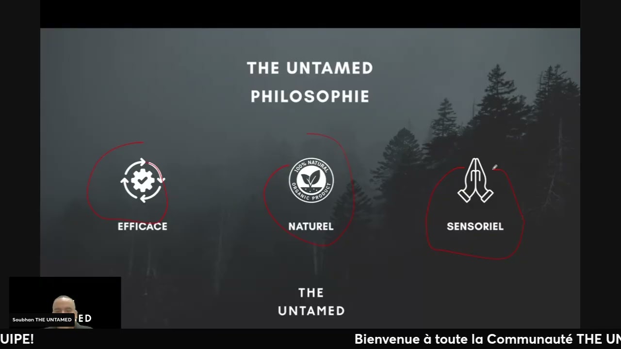 PLAN DE REMUNERATION THE UNTAMED JANVIER 2026
