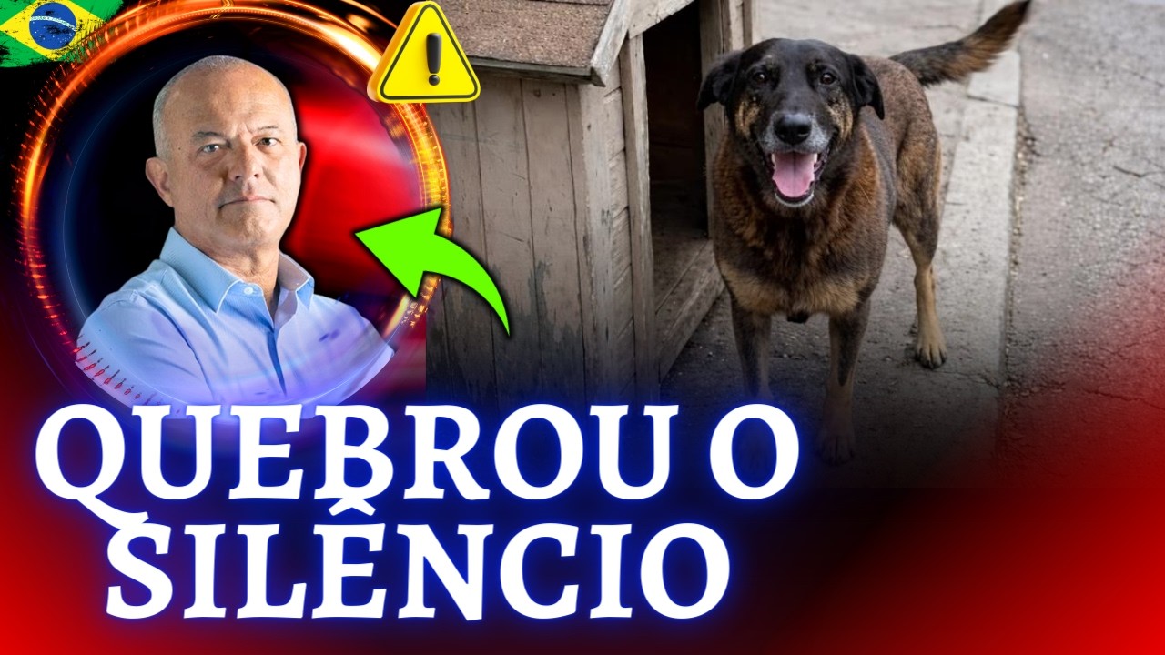 Orelha: Por Que a Morte Deste Cachorro Chocou o Pa&iacute;s