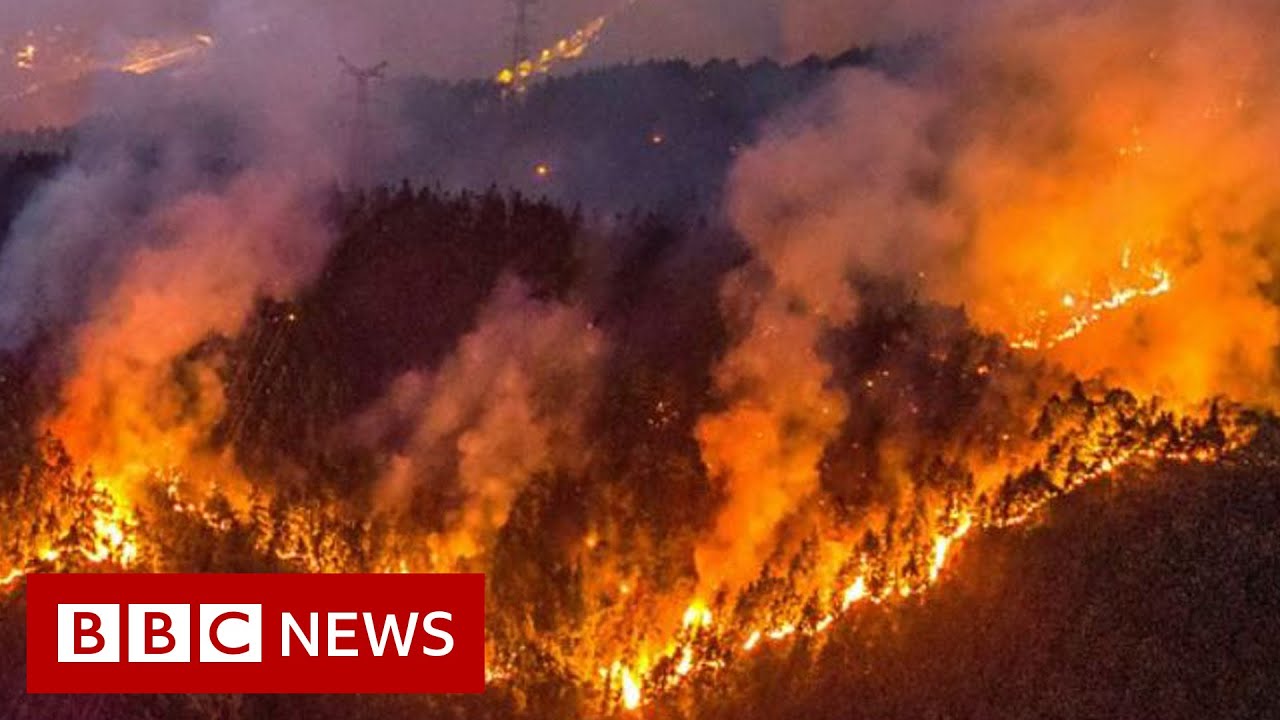 Chinese motorcyclists join wildfire battle – BBC News