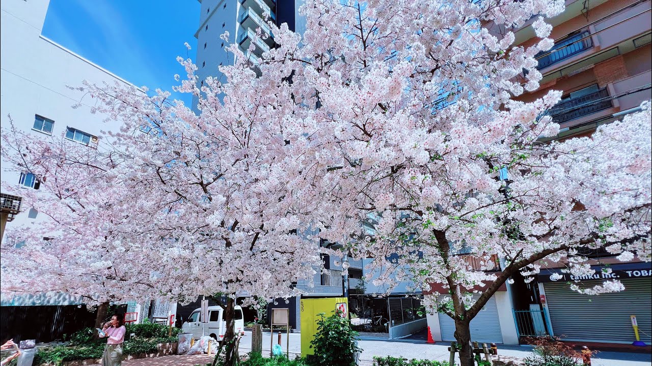 Amanohashidate and Miyama day tour by Klook. Worth it? No?