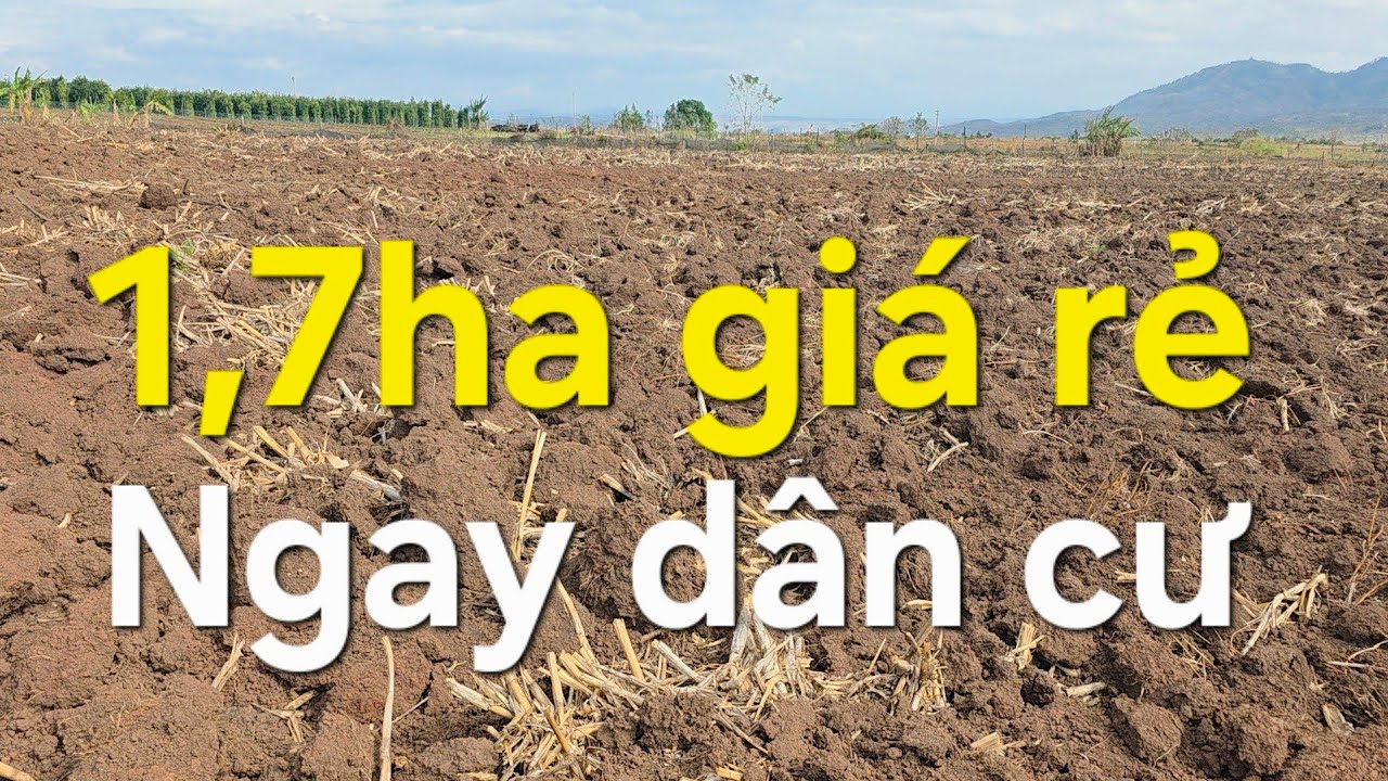 1,7ha đất trống ace quan tâm lh 08 22 72 76 79 
