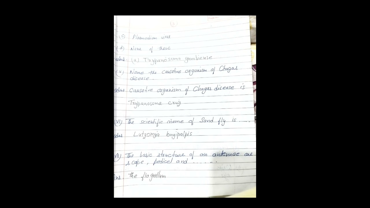 BSc 3rd Year Zoology (HPU) annual exam question paper :Insect, Vector and Disease