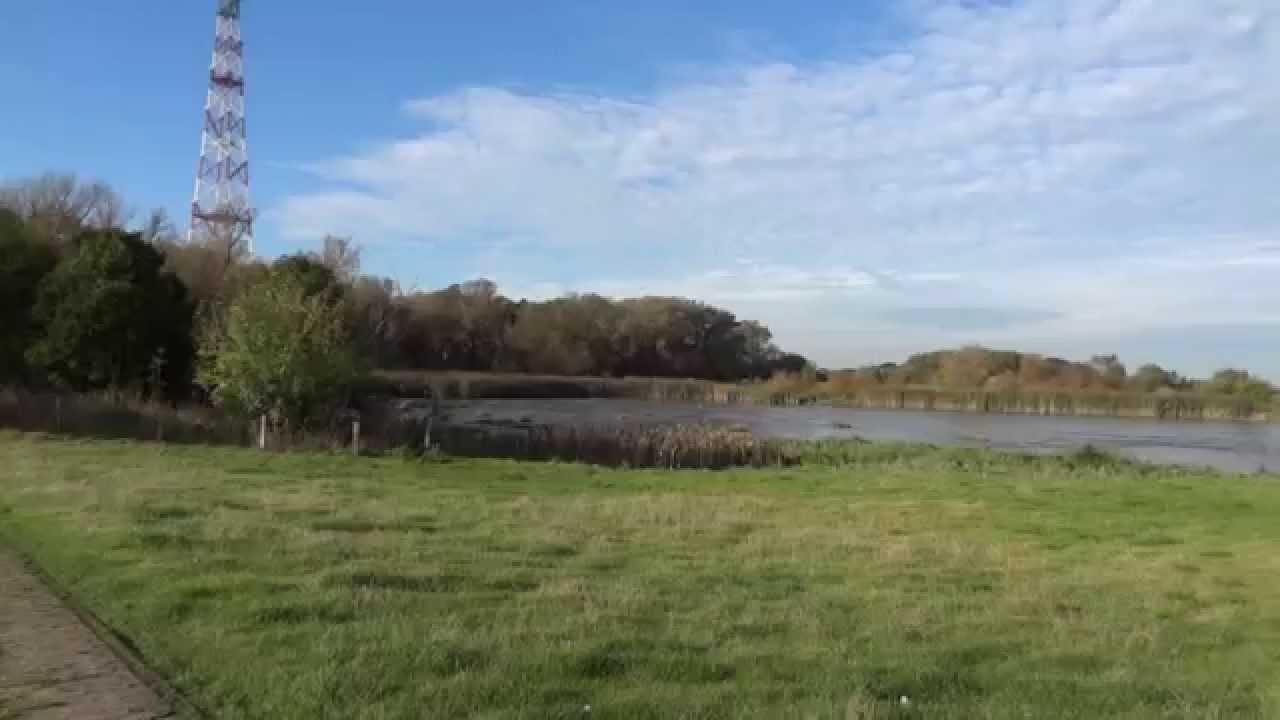 Marsch bei Hetlingen