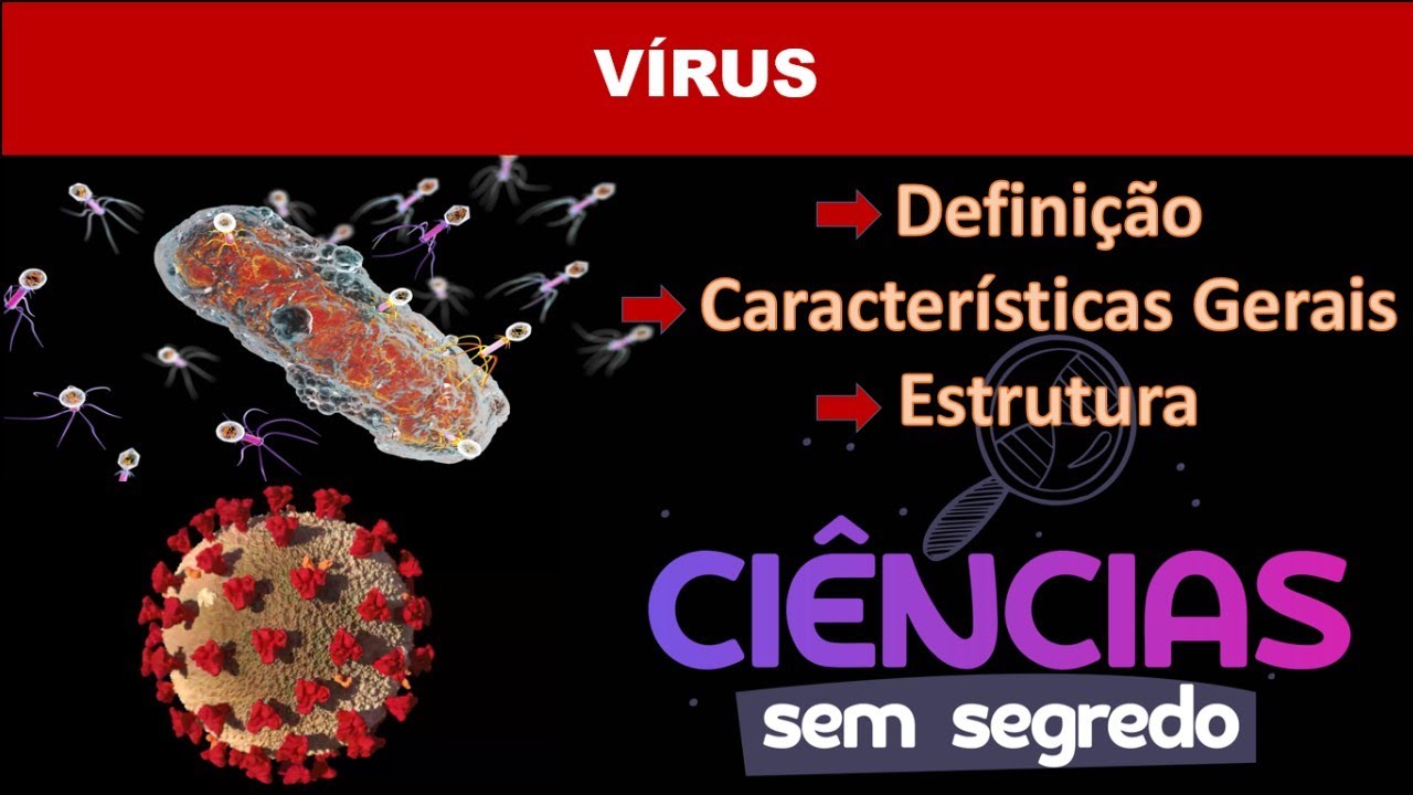 🛑 Estrutura Viral.
