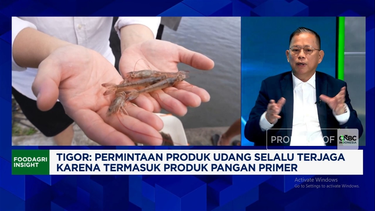 Udang RI Bersaing Kuasai Pasar Ekspor AS-China, Pengusaha Udang Siapkan Jurus Ini