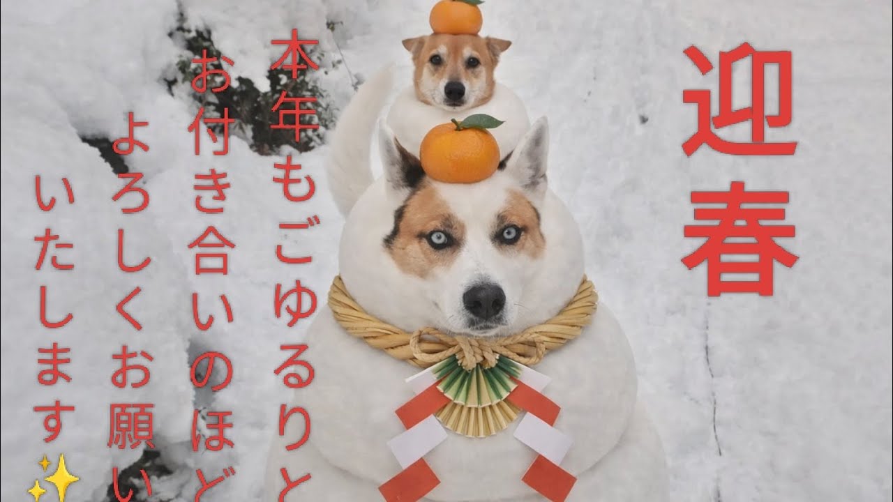 空とコウ🐺🐶新春🎍LIVE✨ご質問にお答え＆情報との向き合い方