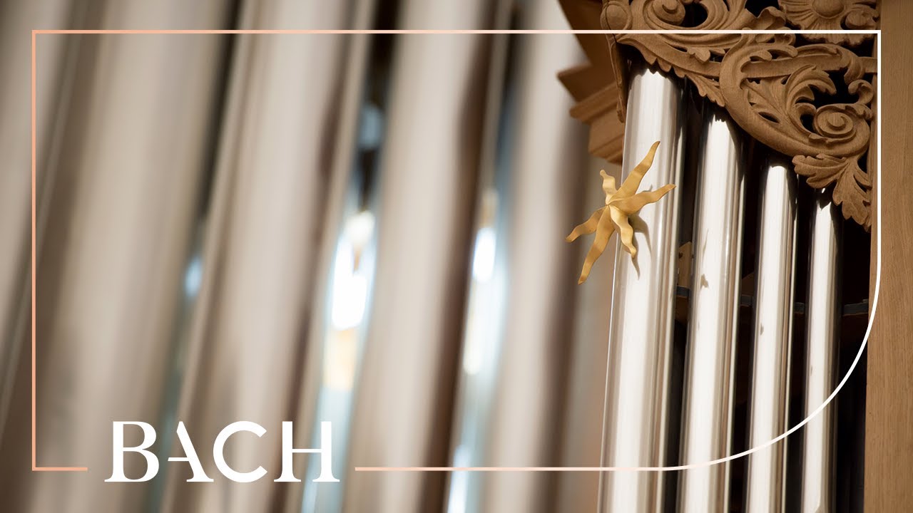 Bach - Wo soll ich fliehen hin BWV 646 - Zerer | Netherlands Bach Society