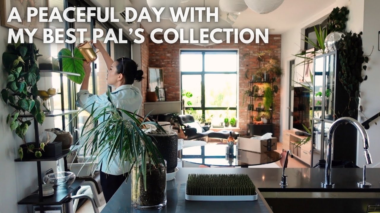 Plantsitting for @unplantparenthood + a few favourites from her collection!
