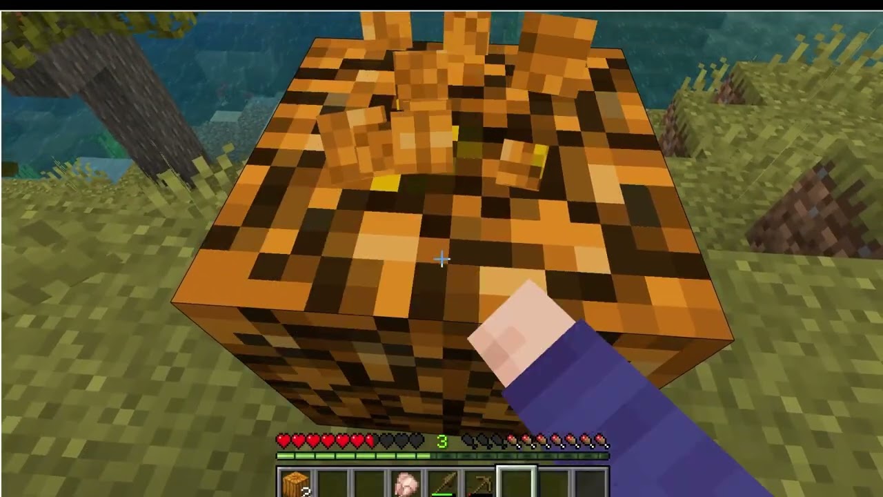 Выживаю в Minecraft