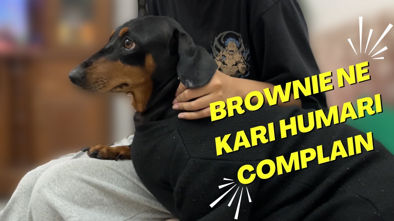 Brownie ne kari humari complain 
