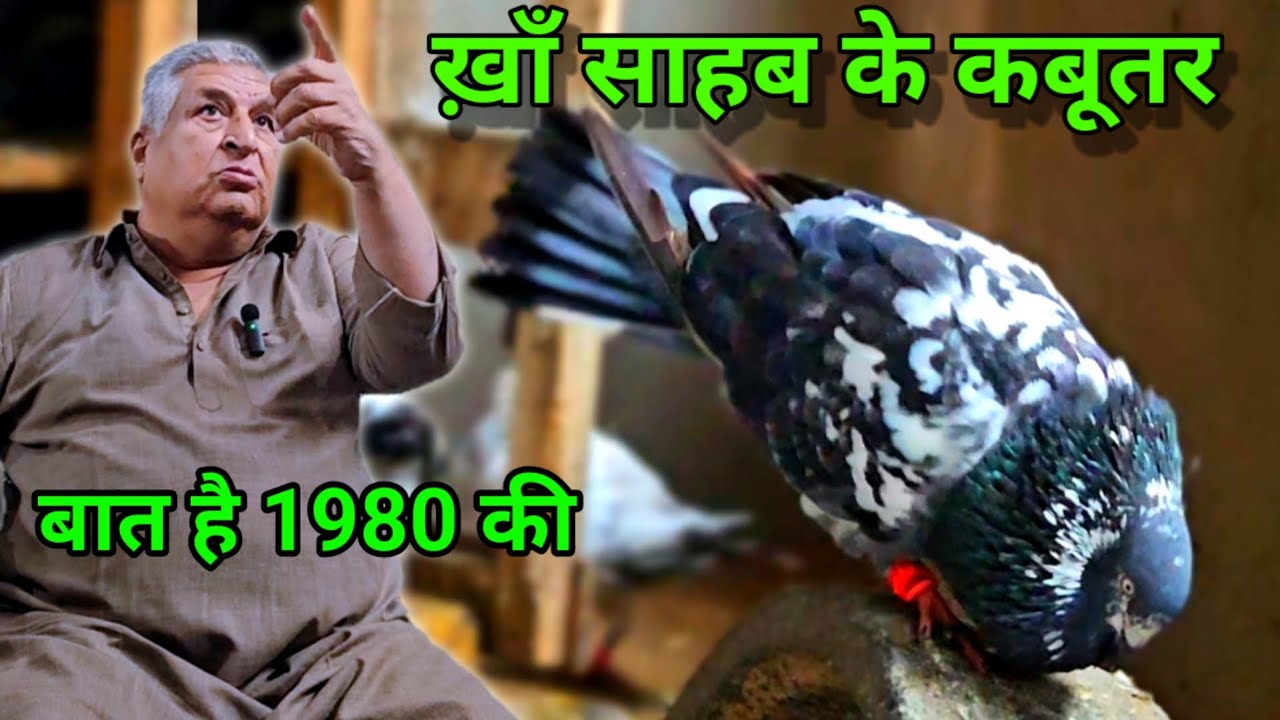 ख़ाँ साहब के कबूतर | Khan Sahab Ke Kabootar | Aur Marhum Ustad Hameed Ki Yadein | Jaipur Tonk Pigeons