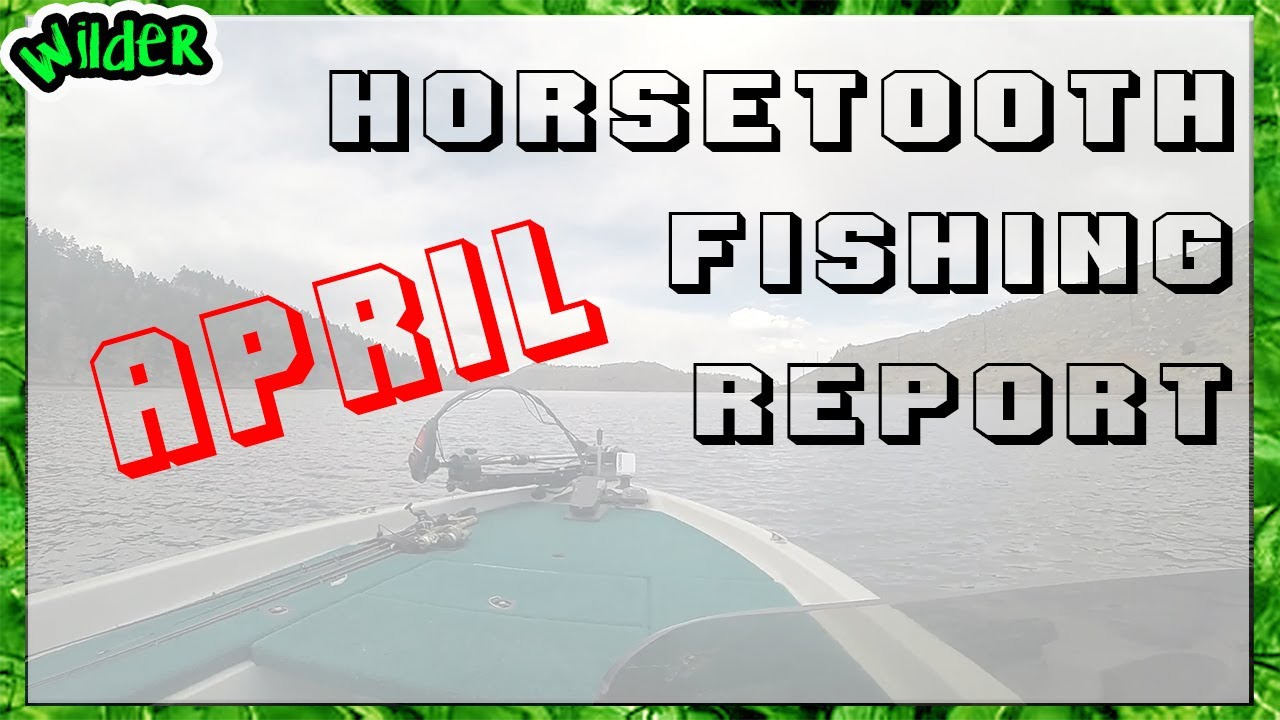 Horsetooth Fishing Report | April 2020
