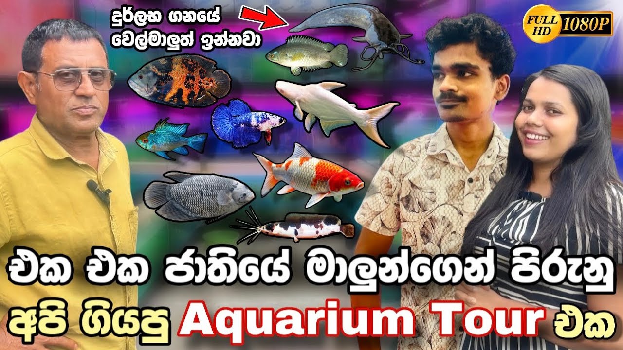 දුර්ලභ මාලු සහ විවිධ ජාතියේ මාලුන්ගෙන් පිරුනු අපිගිය Aquarium Tour එක | The Aquarium Tour We Went On