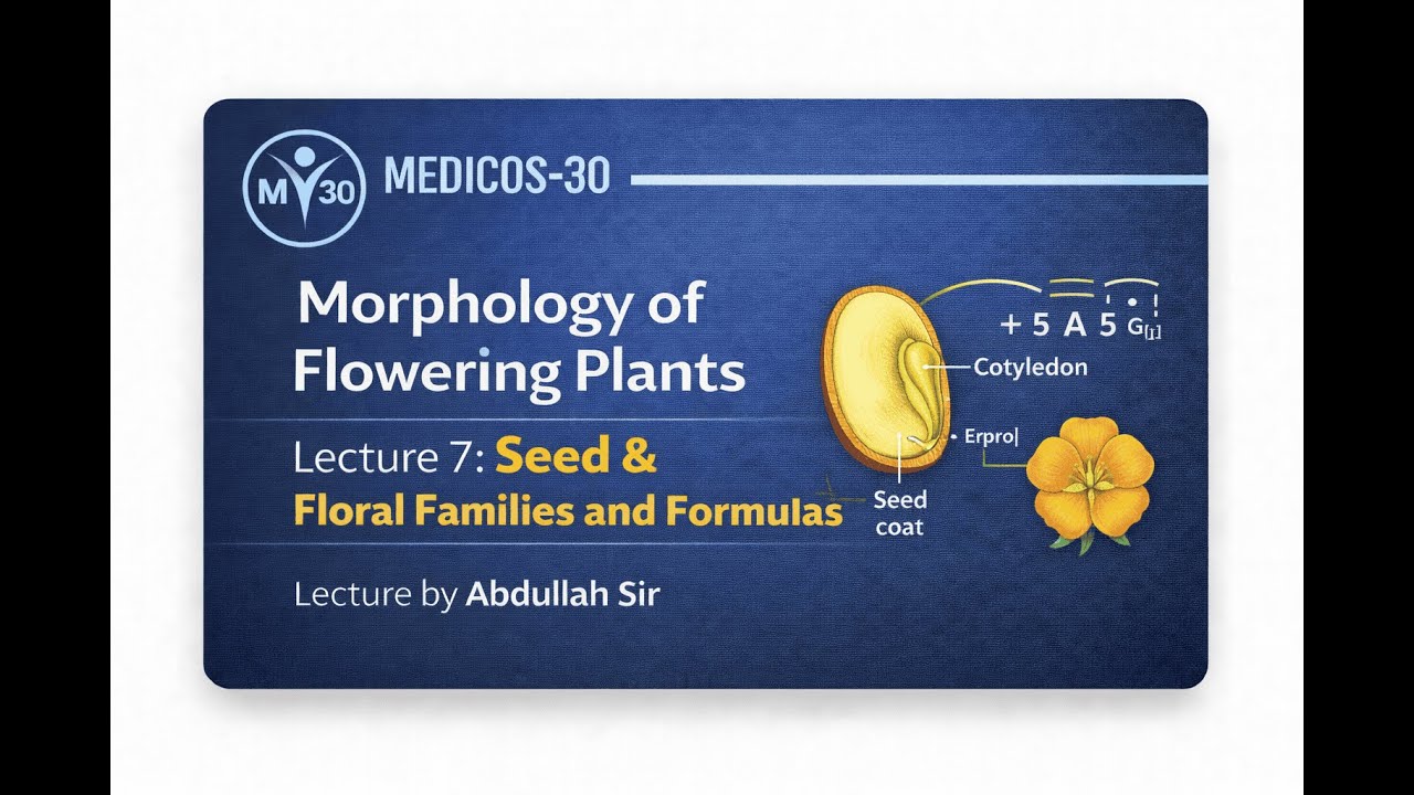 L - 7  | Morphology of Flowering Plants | Seed | Floral Families And Formulas |