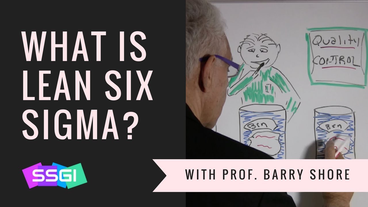 What is Lean Six Sigma?