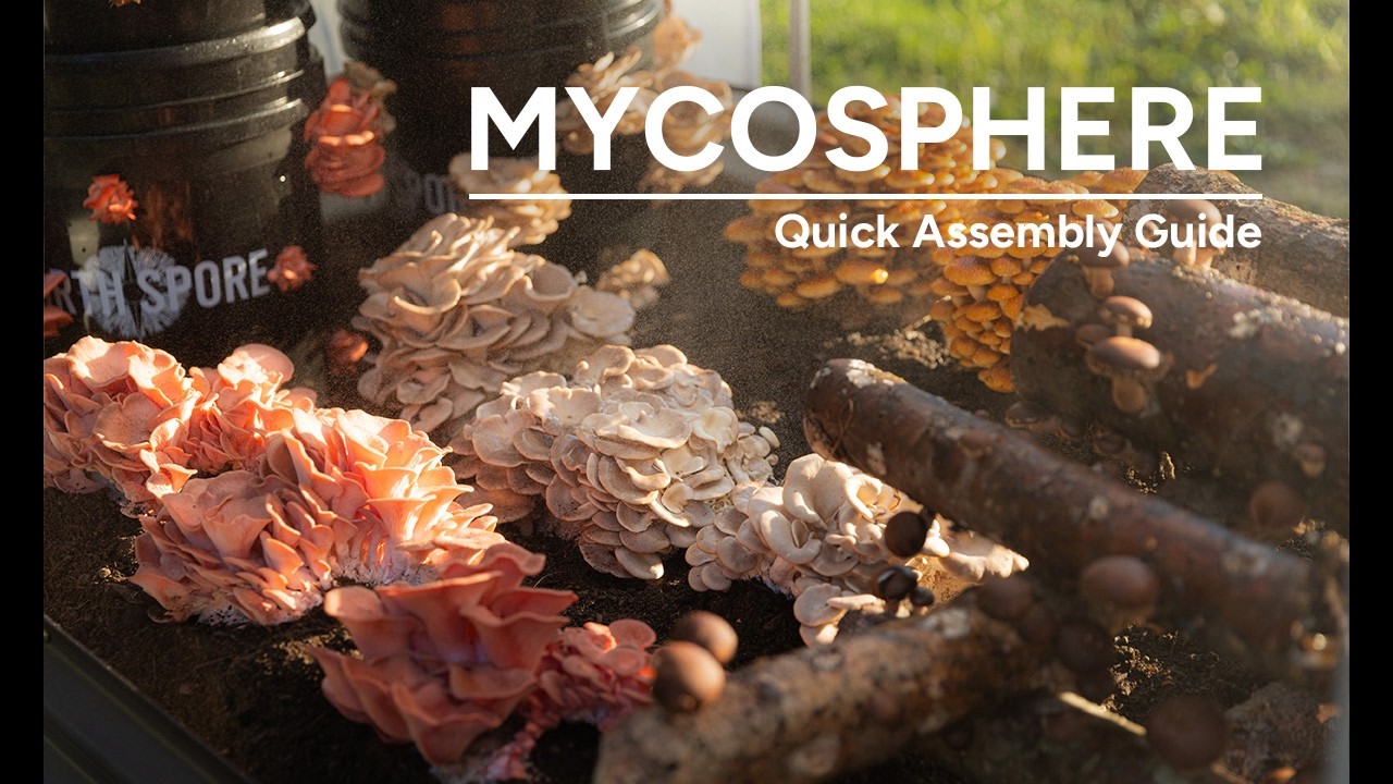 MycoSphere | Quick Assembly Guide
