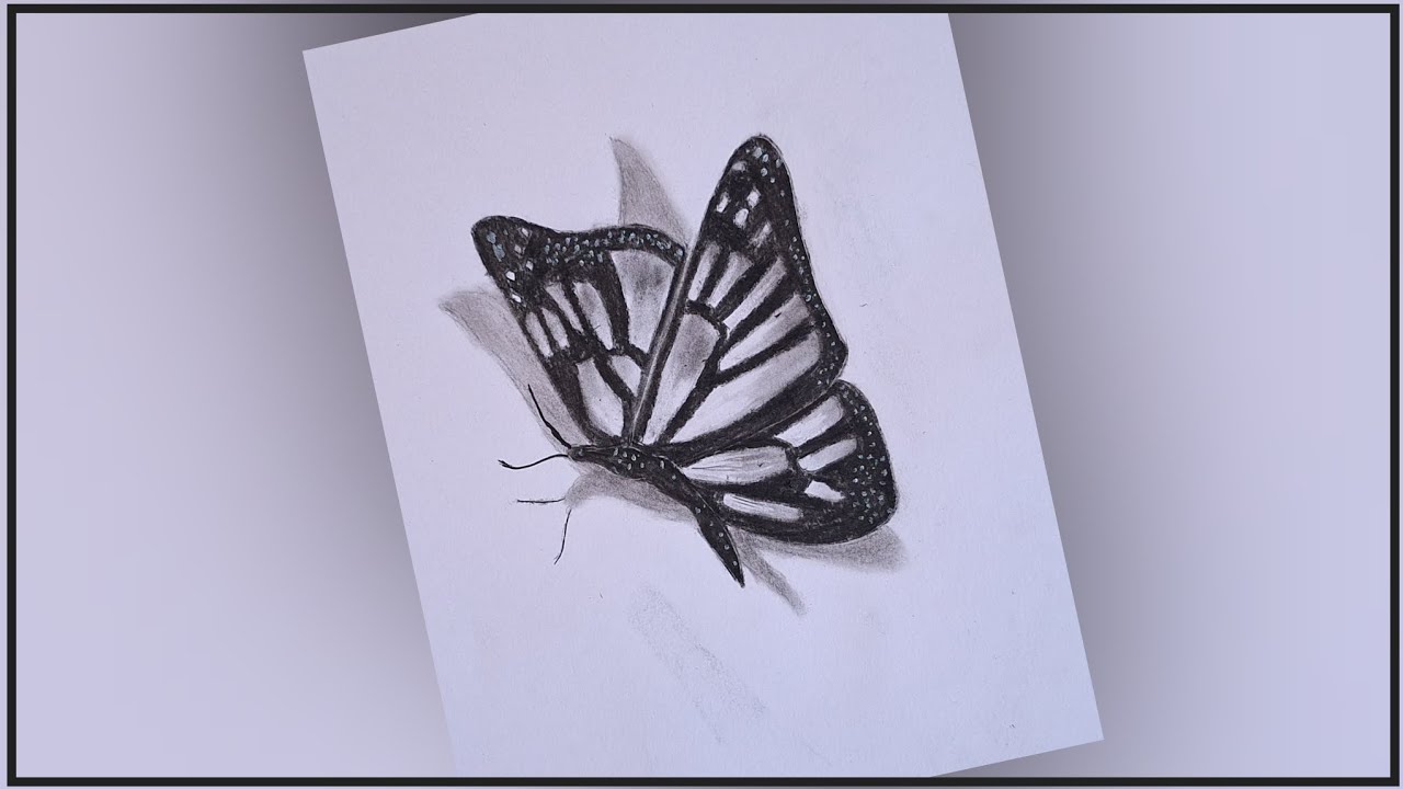 Realistic Butterfly Drawing with Pencil | Charcoal Pencil Drawing | How to Draw Beautiful Butterfly