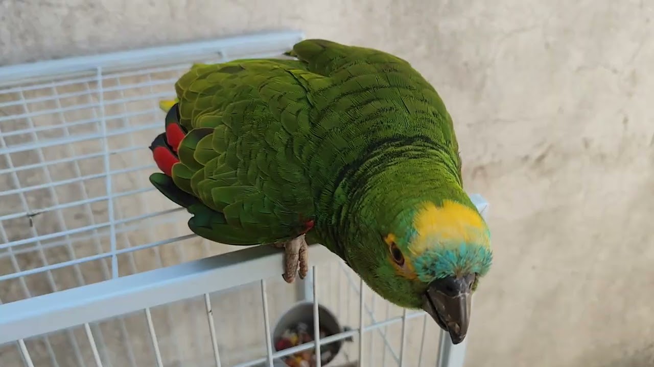 A Loirinha hoje tá que  tá e só o que ela quer fazer 