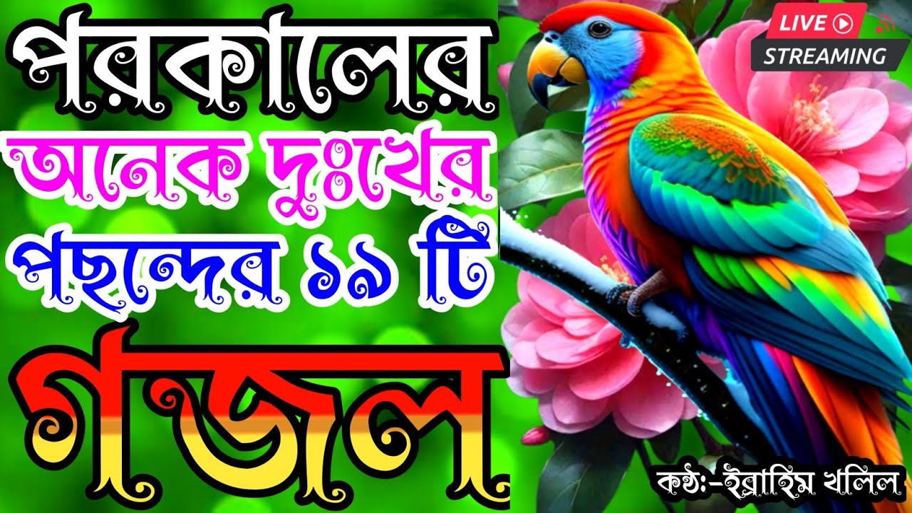 🔴Live Very Emotional 19 Gojol | খুব দুঃখের মরমি কন্ঠে সেরা ১৯টি গজল | new gojol | gojol | gojal |গজল