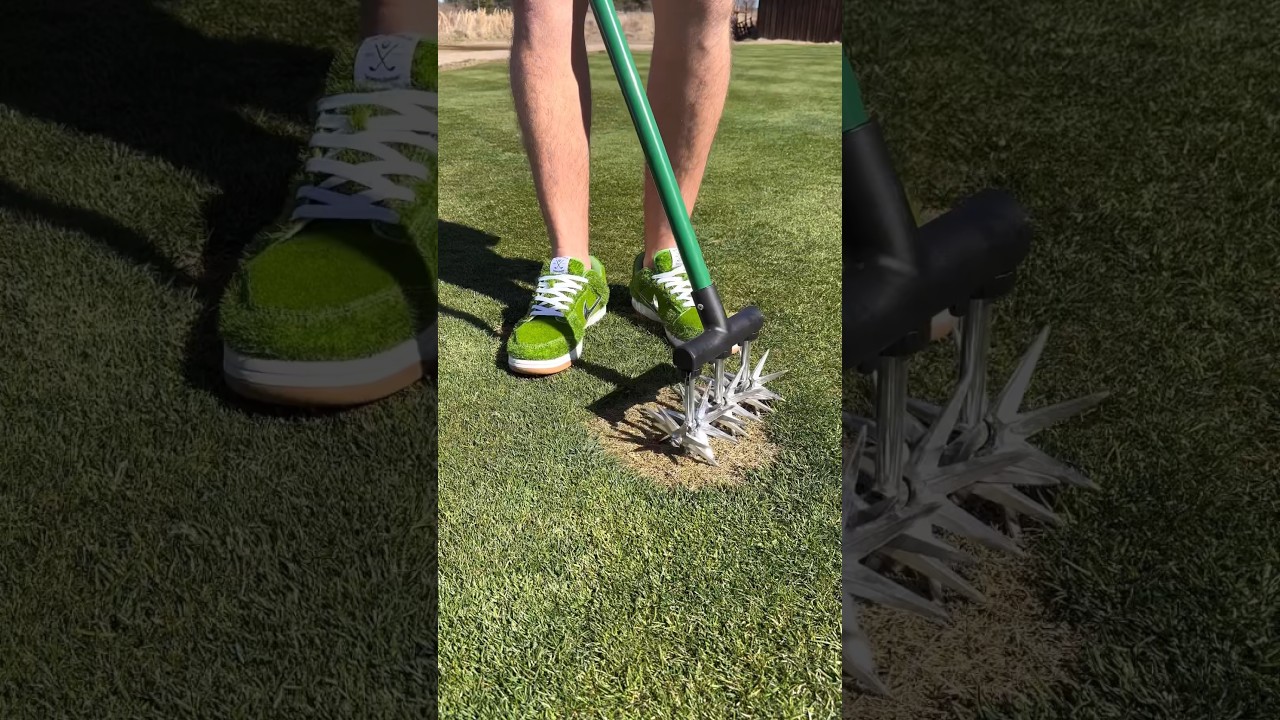 The 4 Most ASMR Ways to Fix a Lawn
